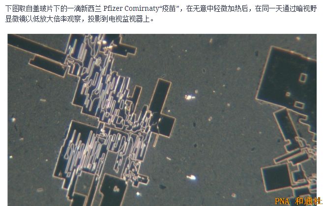 美国法院令公布辉瑞机密文件：FDA 确认新冠疫苗中存在剧毒氧化石墨烯