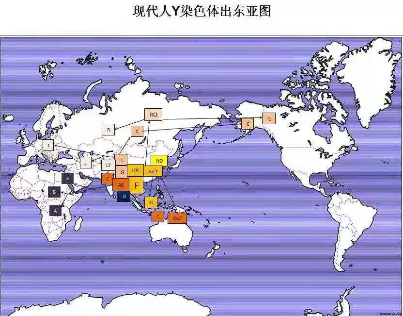 欧洲学者“认祖”：古DNA揭示现代欧亚人父系均源于东亚南部