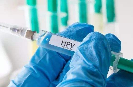 杨芳：曝全国青联委员陈一文揭宫颈癌（HPV）疫苗副作用文献